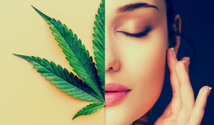 CBD Oil Beauty Products: Our favorite picks